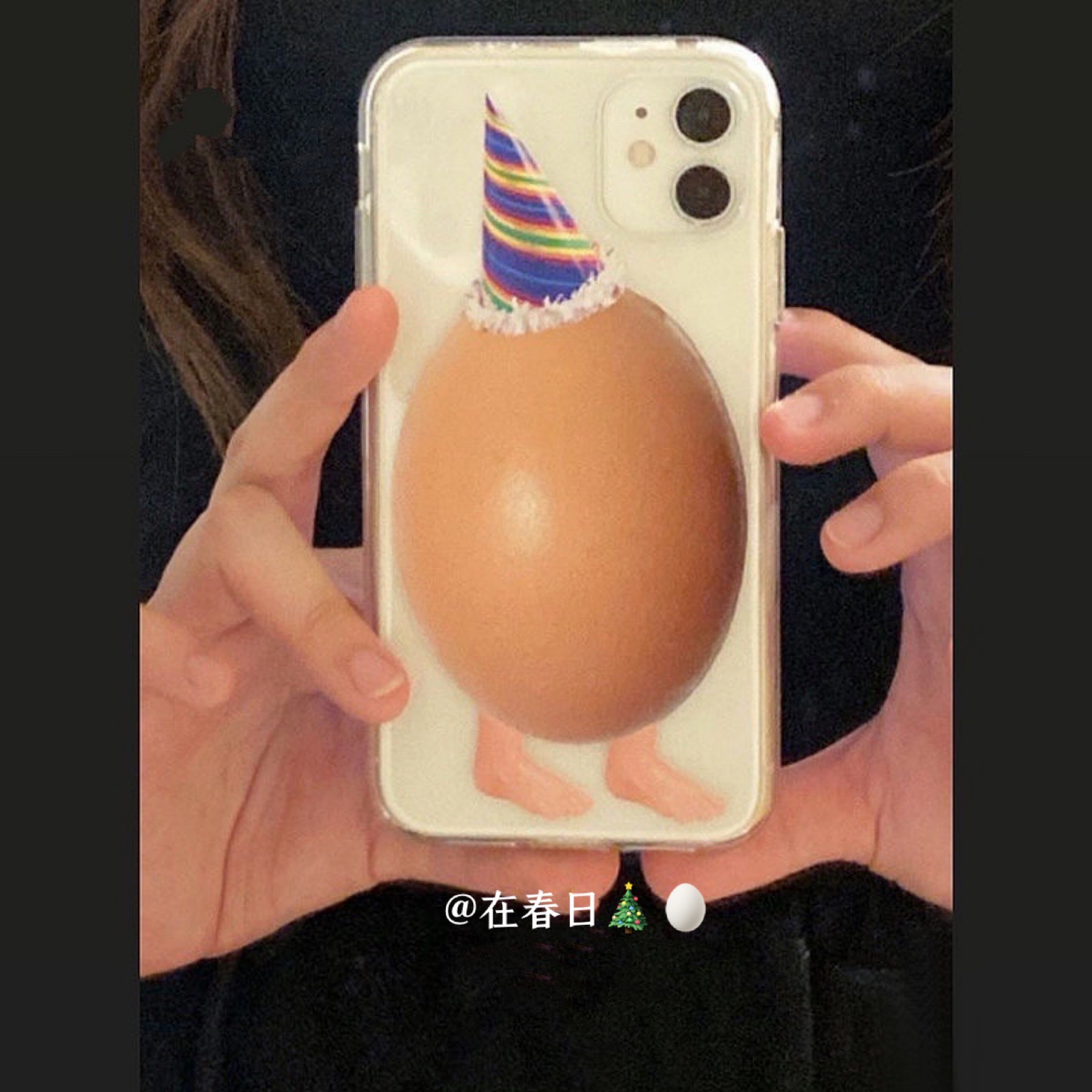 Korean Ins Christmas Hat Egg C - Phone Cases Y2K recensione e prezzo