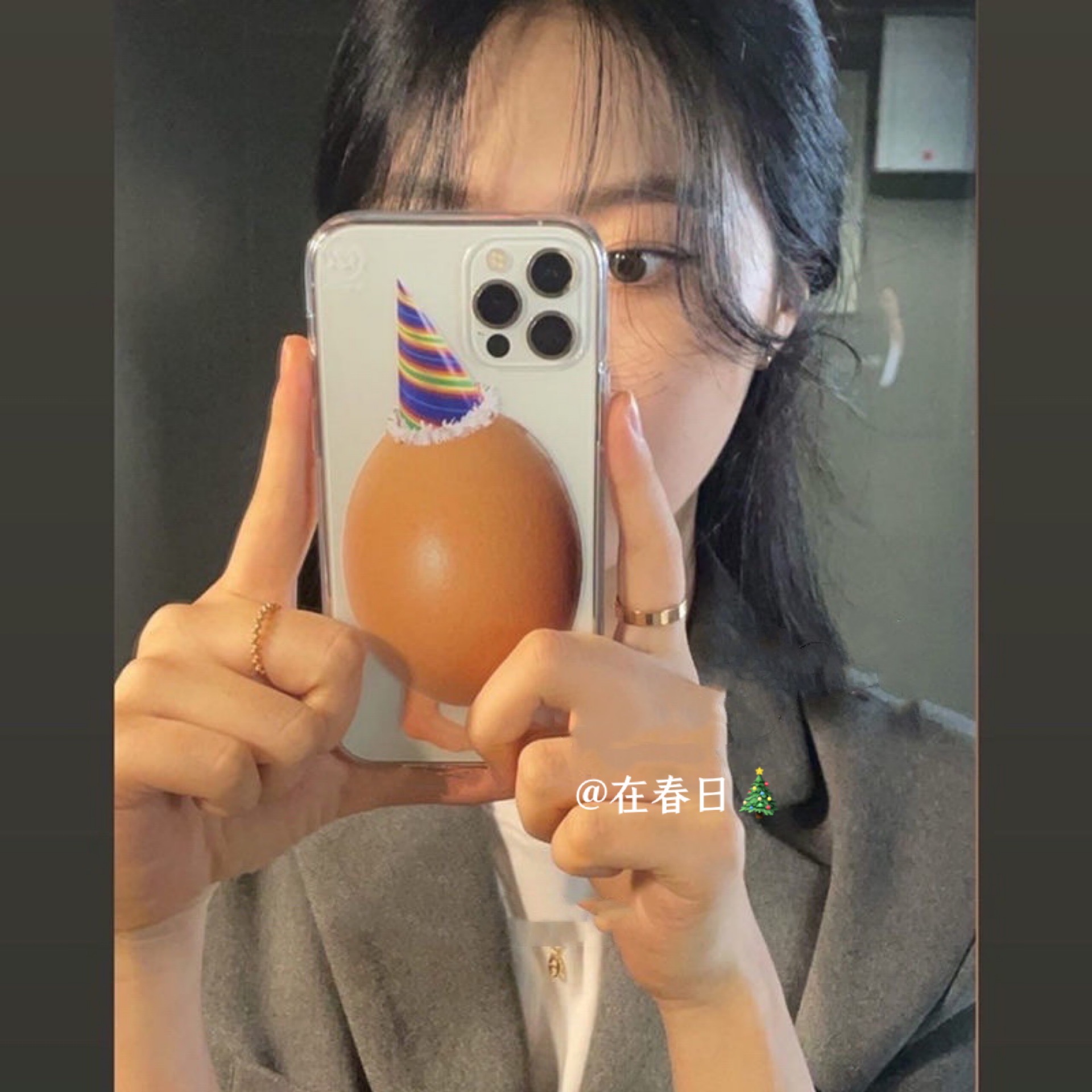 Korean Ins Christmas Hat Egg C - Phone Cases Y2K recensione e prezzo